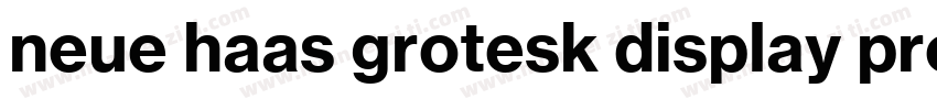 neue haas grotesk display pro 45 Li字体转换